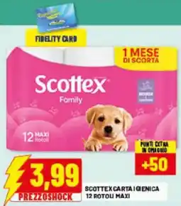 Risparmio Casa Scottex Family offerta