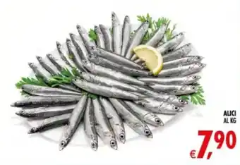 Deco Supermercati Alici offerta