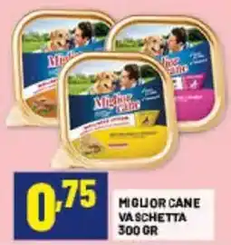 Risparmio Casa Miglior Cane Vaschetta offerta