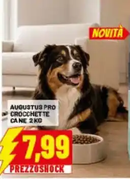 Risparmio Casa Augustus Pro Crocchette Cane offerta