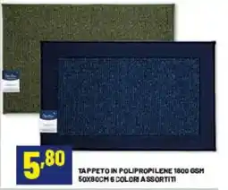 Risparmio Casa TAPPETO IN POLIPROPILENE offerta