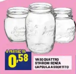 Risparmio Casa Vaso quattro stagioni senza capsula assortito offerta