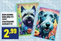 Risparmio Casa QUADERNO QUADRETTI offerta