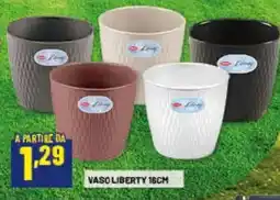 Risparmio Casa VASO LIBERTY offerta
