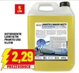 Risparmio Casa LAVAVETRI E RIMUOVI INSETTI offerta