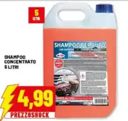 Risparmio Casa Shampoo per auto offerta