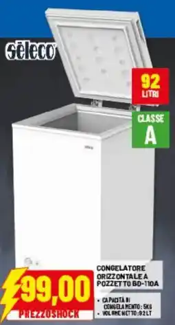 Risparmio Casa sèleco CONGELATORE ORIZZONTALE A POZZETTO BD-110A offerta
