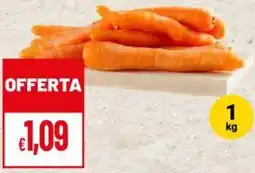 Pan carote offerta