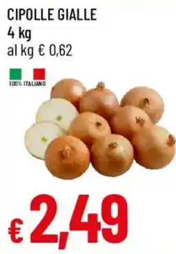Galassia Cipolle gialle offerta
