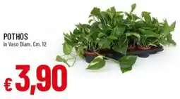 Galassia POTHOS offerta