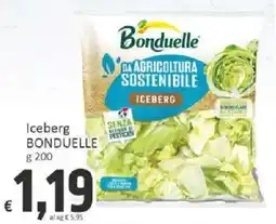 Paghi Poco Iceberg Bonduelle offerta