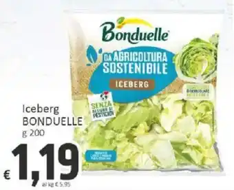 Paghi Poco Iceberg Bonduelle offerta