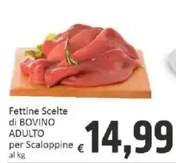 Paghi Poco Fettine Scelte di BOVINO ADULTO offerta