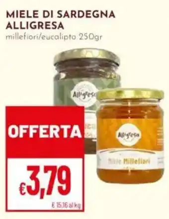 Pan Miele di Sardegna Alligresa offerta