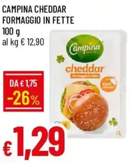Galassia Campina Cheddar offerta