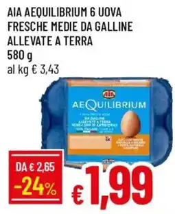 Galassia AIA AEQUILIBRIUM 6 UOVA FRESCHE MEDIE DA GALLINE ALLEVATE A TERRA offerta