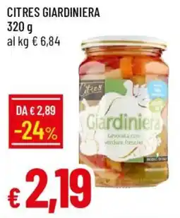 Galassia Citres Giardiniera offerta