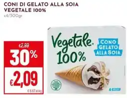 Pan Vegetale. Cono Gelato alla Soia offerta