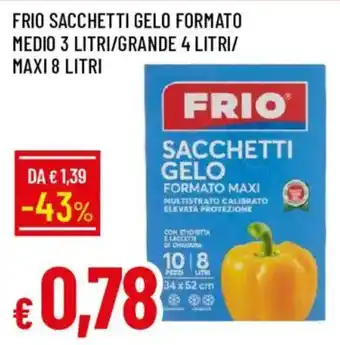 Galassia Frio Sacchetti Gelo offerta