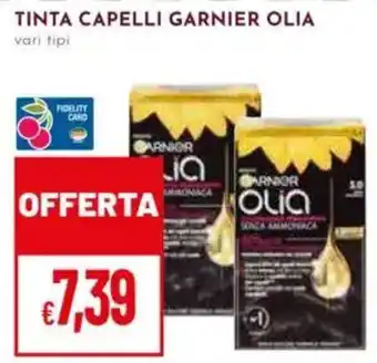 Pan Tinta capelli Garnier Olia offerta