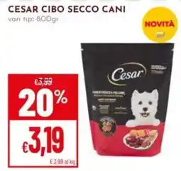 Pan CESAR CIBO SECCO CANI offerta