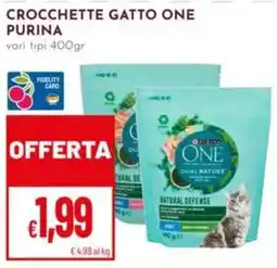 Pan Crocchette gatto One Purina offerta