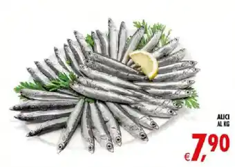 Deco Iperstore ALICI offerta