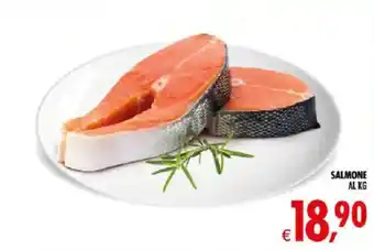 Deco Iperstore Salmone offerta