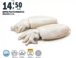Deco Superfreddo SEPPIA PULITA MAROCCO offerta