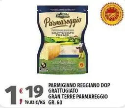 Vivo Supermercati Parmigiano reggiano dop grattugiato gran terre parmareggio offerta