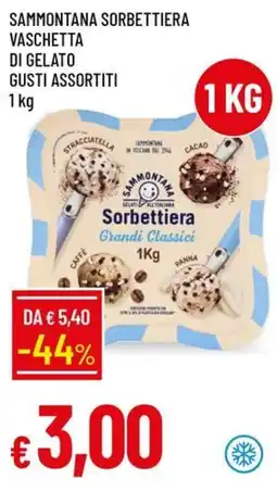 IperFamila Sammontana Sorbettiera Grandi Classici offerta