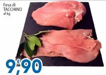 Sidis Fesa di TACCHINO offerta