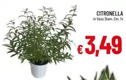 IperFamila CITRONELLA offerta