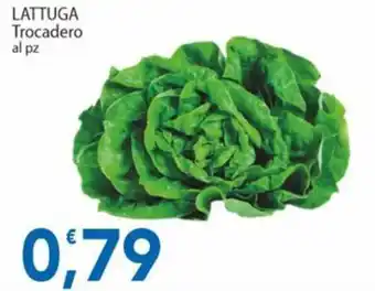 Sidis LATTUGA Trocadero offerta