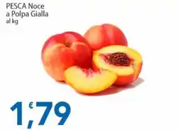Sidis PESCA Noce a Polpa Gialla offerta
