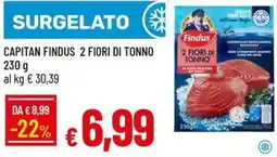 IperFamila CAPITAN FINDUS 2 FIORI DI TONNO offerta