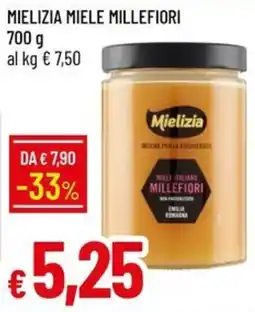 IperFamila Mielizia Miele Millefiori offerta