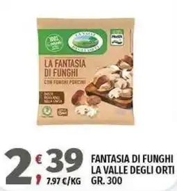 Vivo Supermercati LA FANTASIA DI FUNGHI LA VALLE DEGLI ORTI offerta