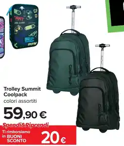Carrefour Trolley Summit Coolpack offerta