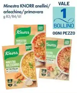 Famila Minestra KNORR anellini/arlecchino/primavera offerta