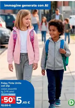 Carrefour Felpa Tinta Unità con Zip offerta