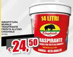 Il Gigante Idropittura murale traspirante pronta all'uso Cinghiale offerta