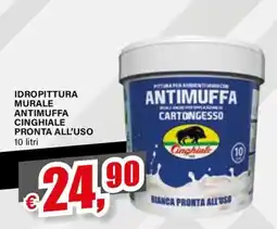 Il Gigante IDROPITTURA MURALE ANTIMUFFA CINGHIALE offerta