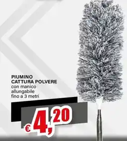 Il Gigante PIUMINO CATTURA POLVERE offerta