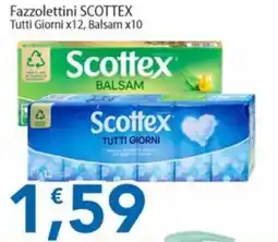 Sidis Fazzolettini SCOTTEX offerta