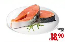 Deco Maxistore Salmone offerta
