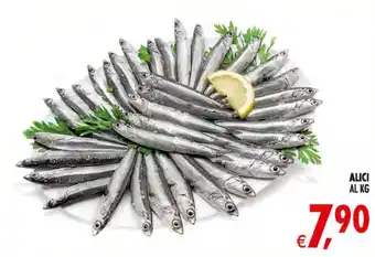 Deco Maxistore Alici offerta