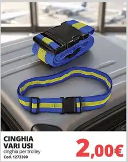 Brico Io CINGHIA VARI USI offerta