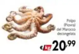 Maxi Supermercati Polpo (Piovra) del Marocco offerta