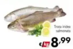 Maxi Supermercati Trota iridea salmonata offerta